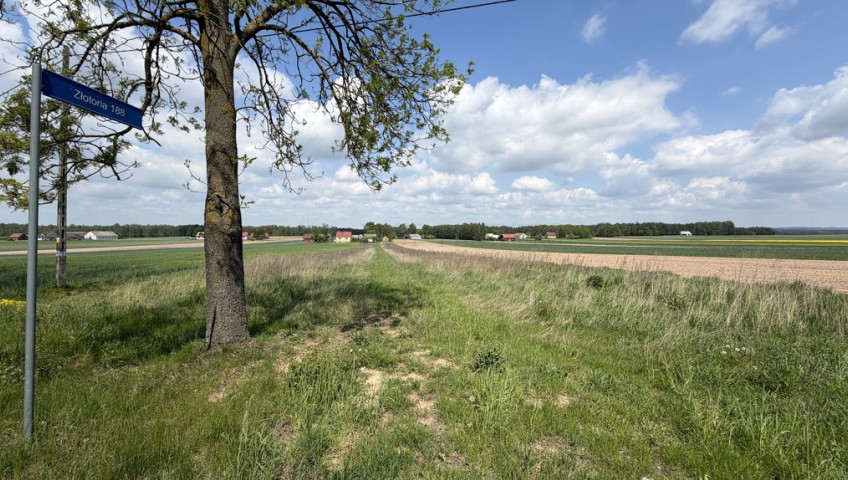 Działka Sprzedaż Złotoria